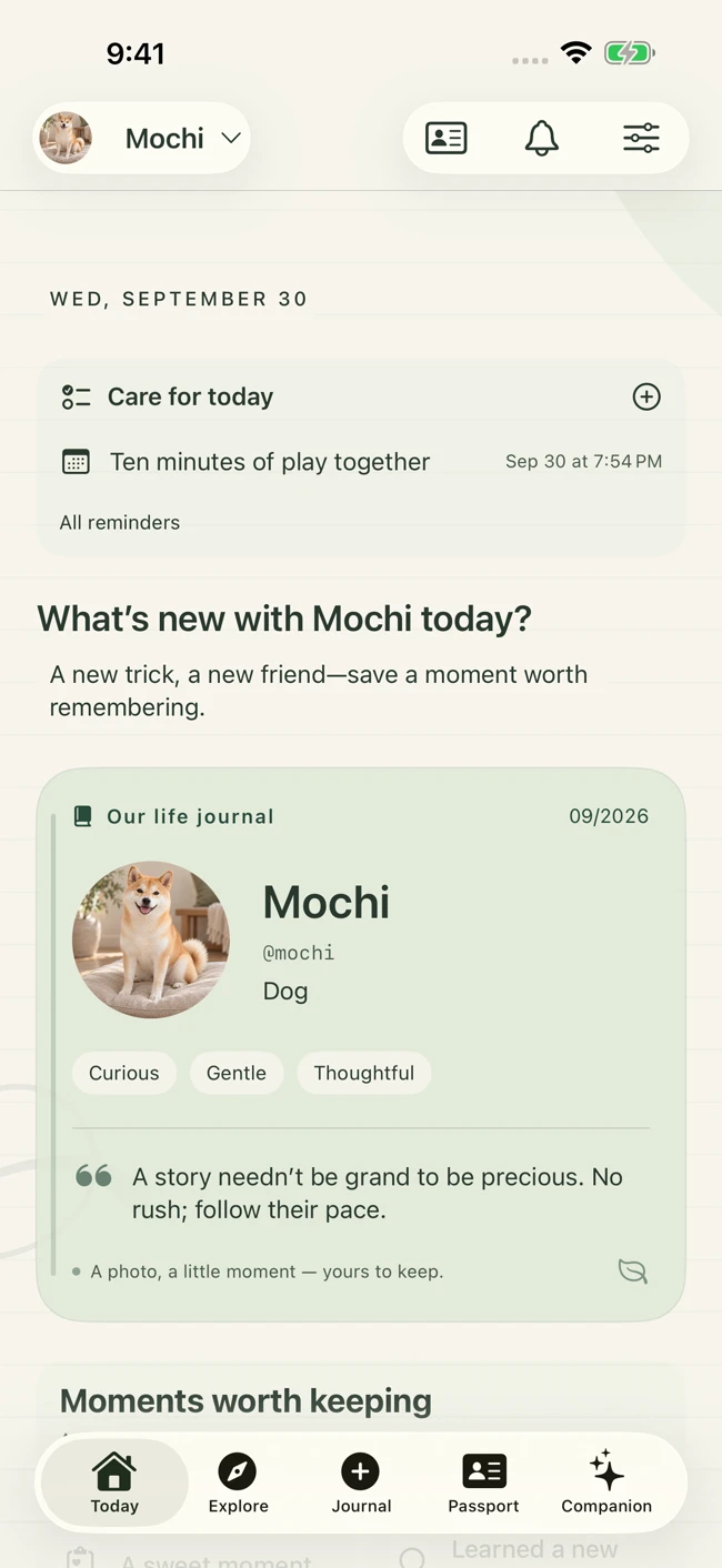 Project P product interface preview