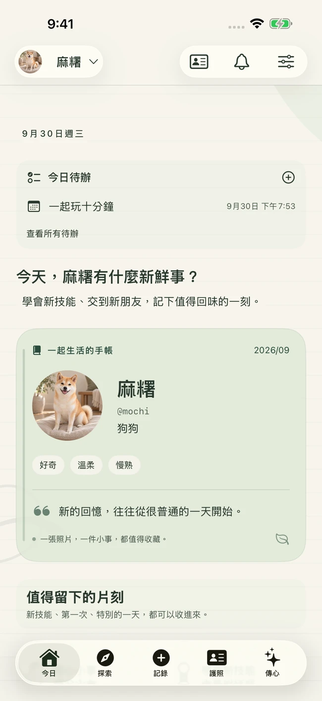 Project P 產品介面預覽